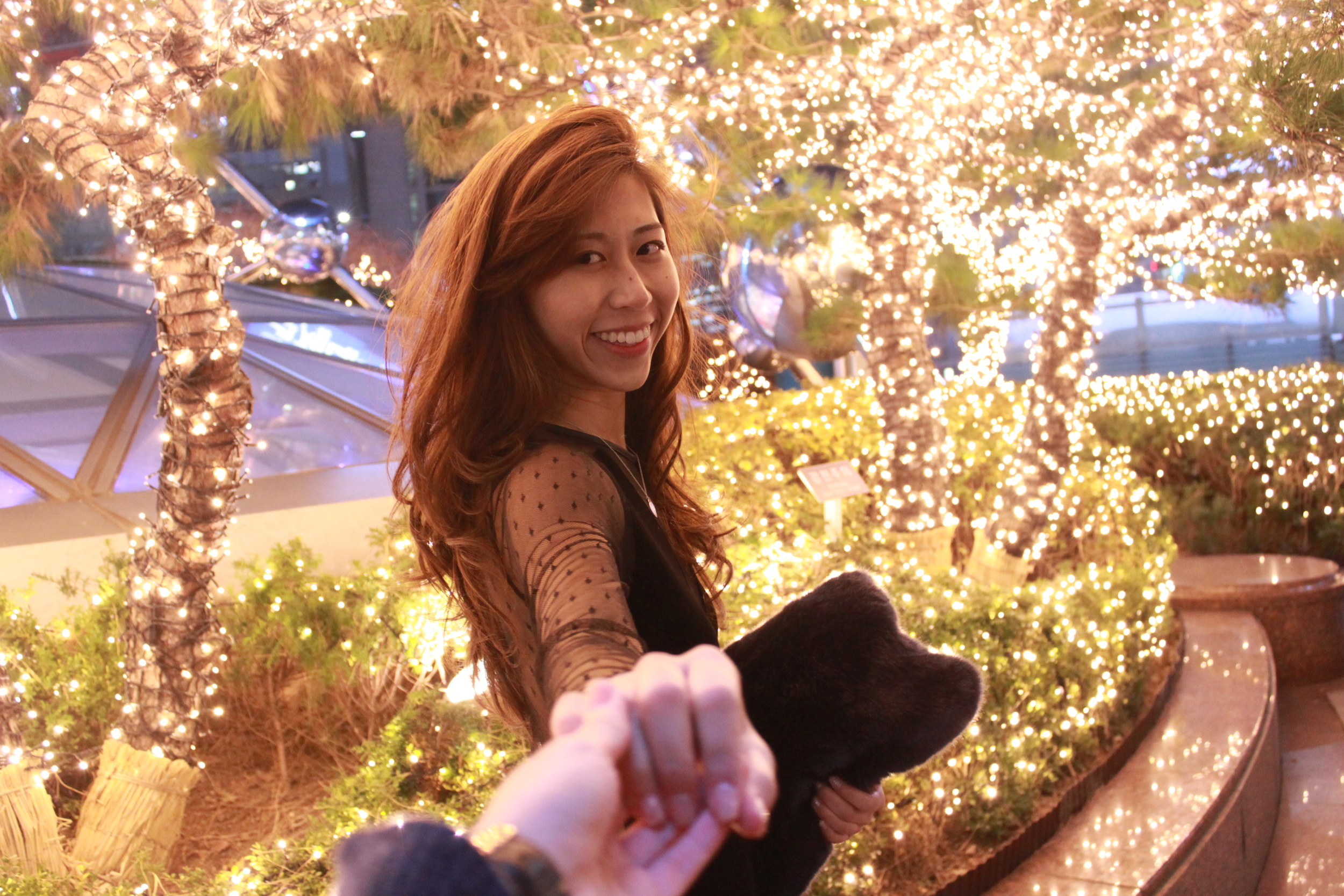 Zara sheer black dress / Staccato black cut-out heels / Another A (Korea) fur clutch Shot at Seoul, South Korea