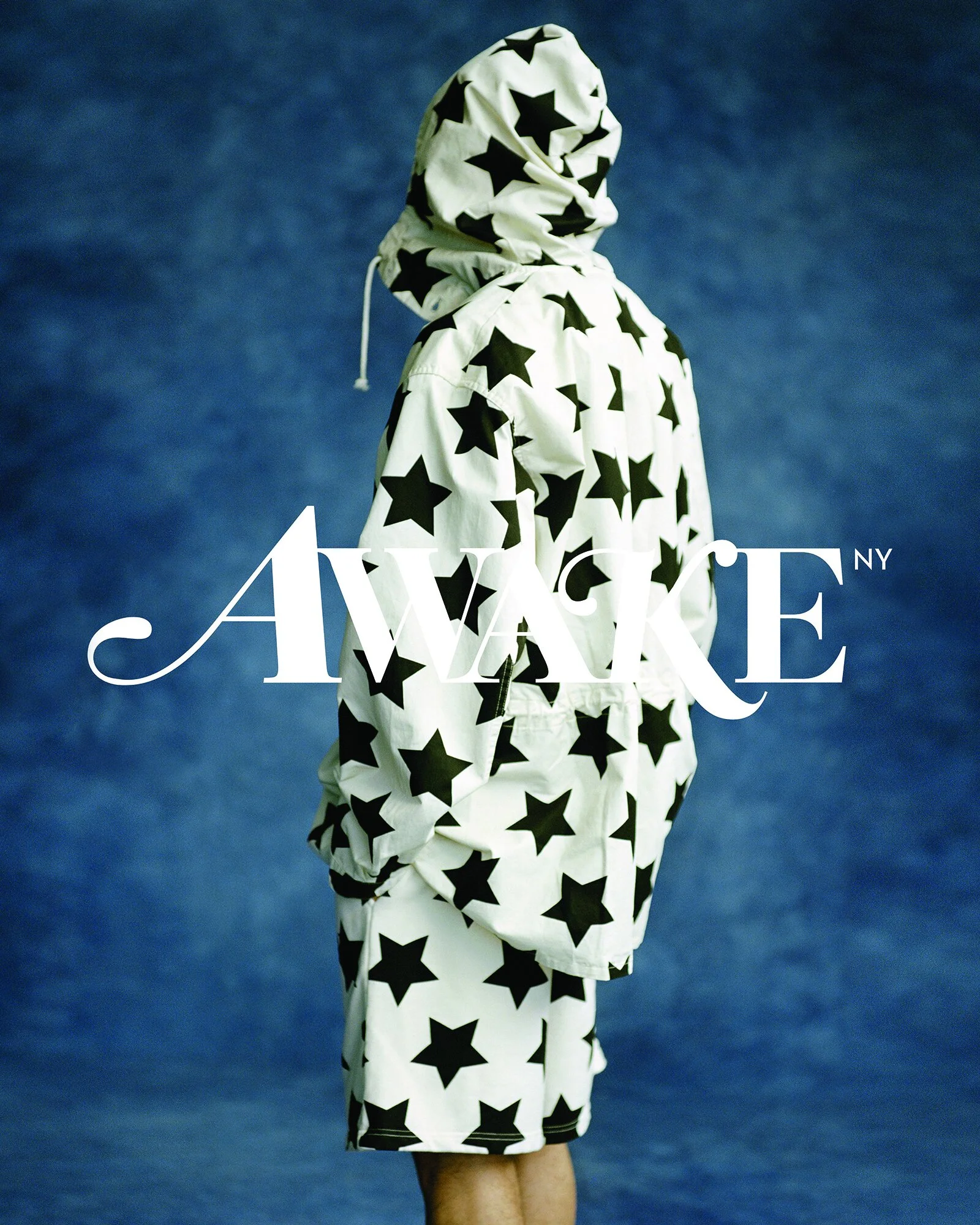 AWAKE - 48x72 - PROOF-2-3.jpg