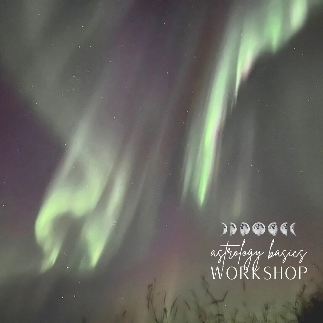 Astrology Basics Workshop