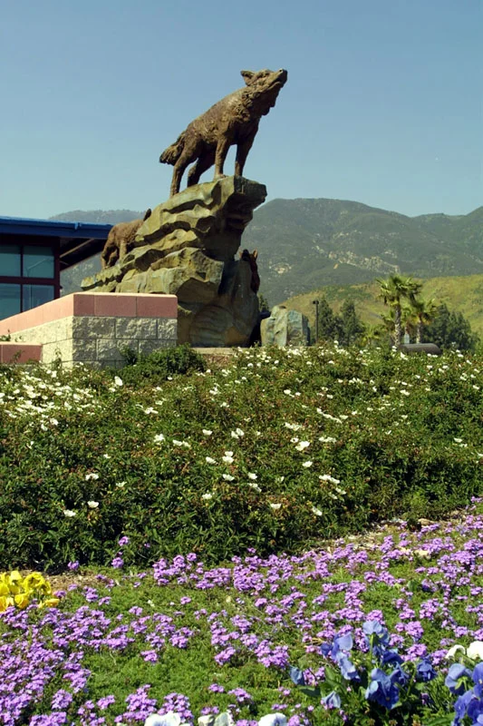 Coyote Drive_08.jpg