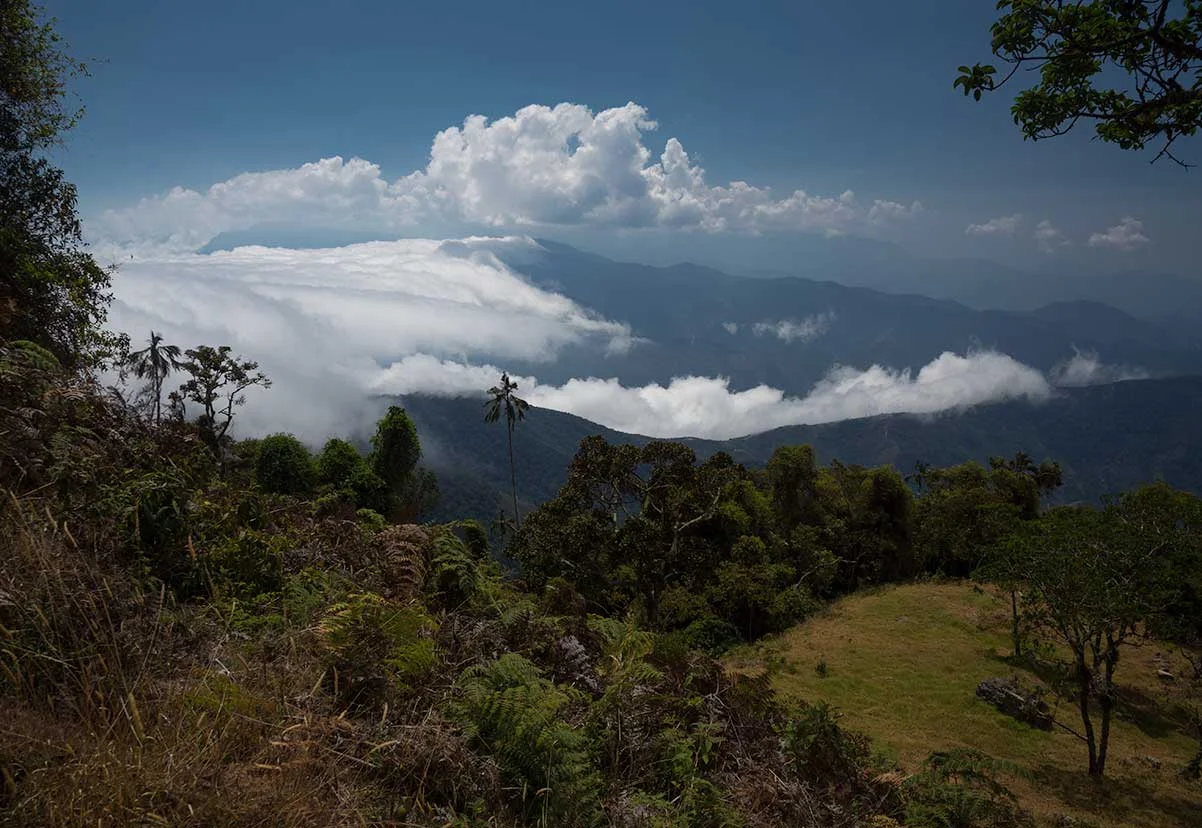 La Cumbre. Minca.