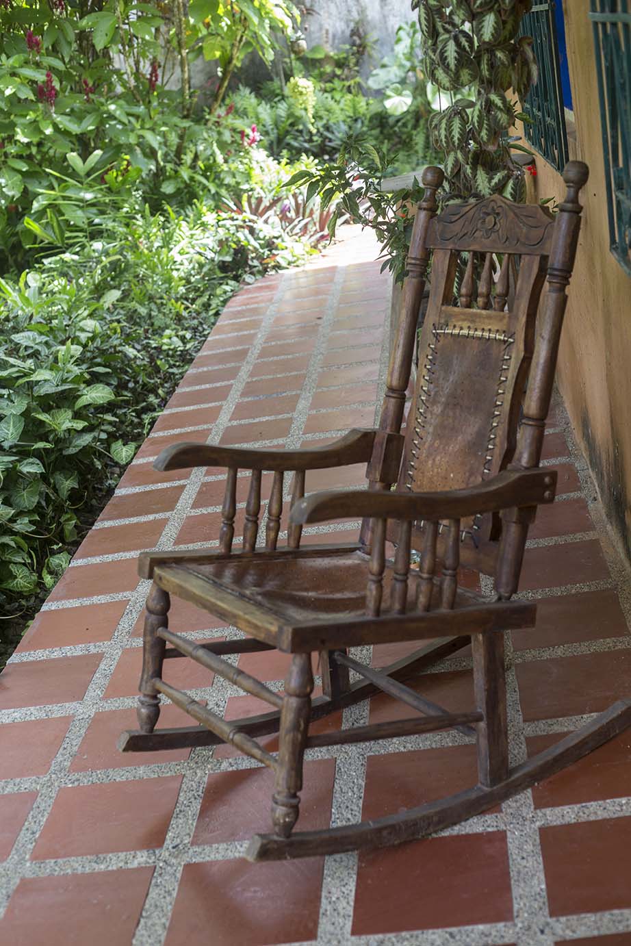 patio-iguana-soul.jpg