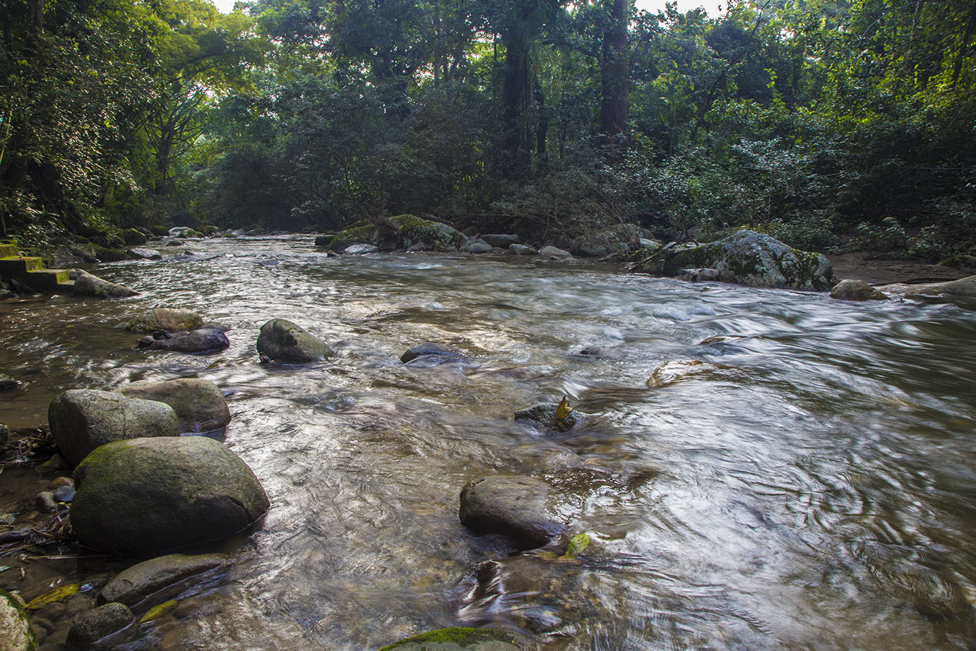 Rio-Minca-Iguana-Soul.jpg