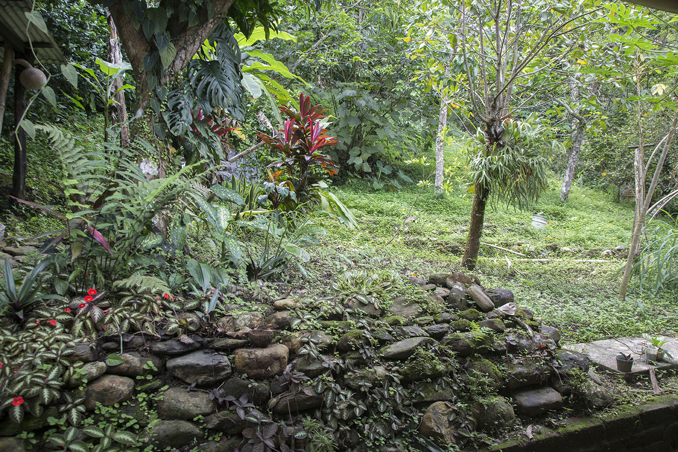 Garden-back.jpg