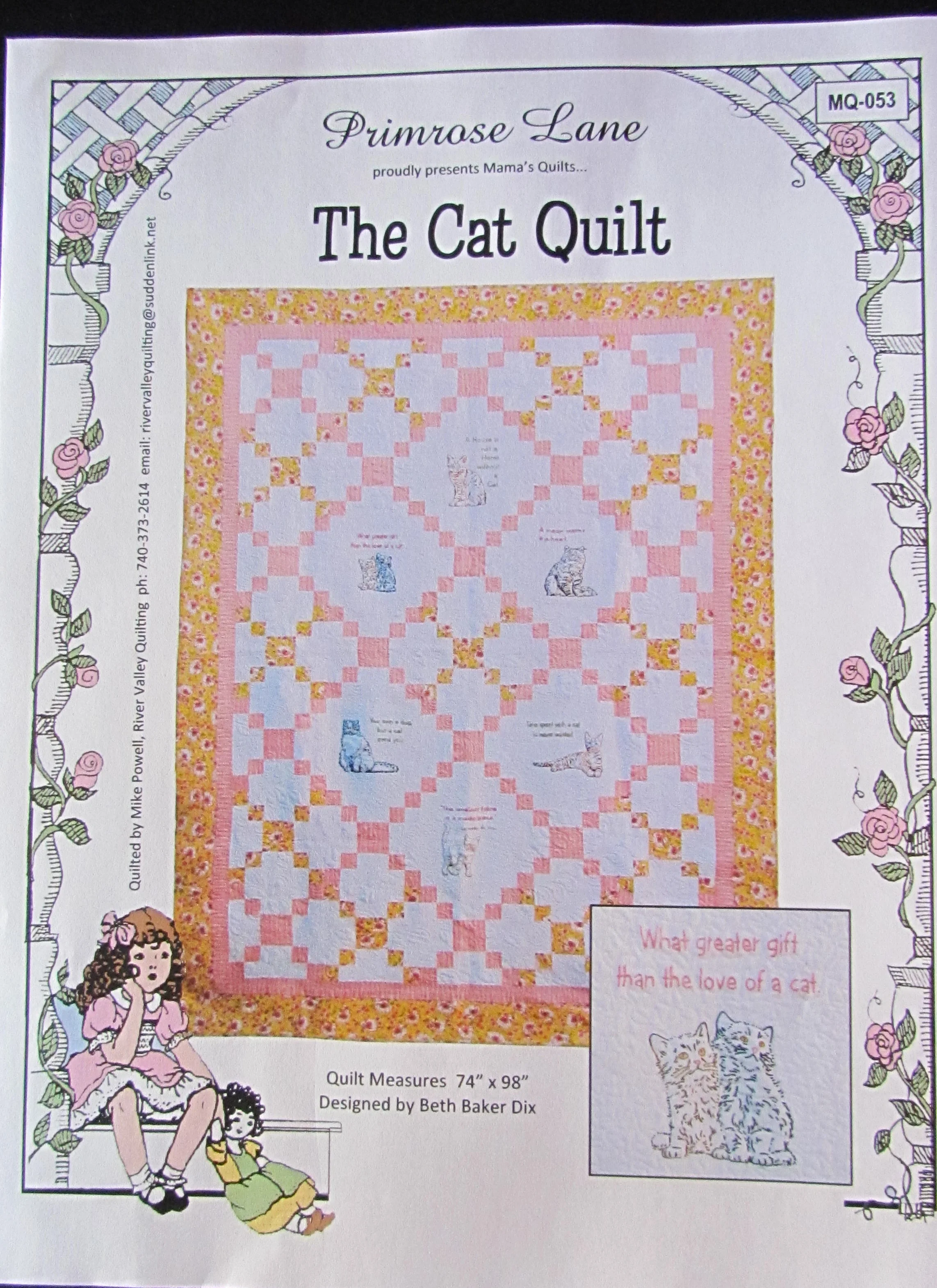 The cat quilt.jpg