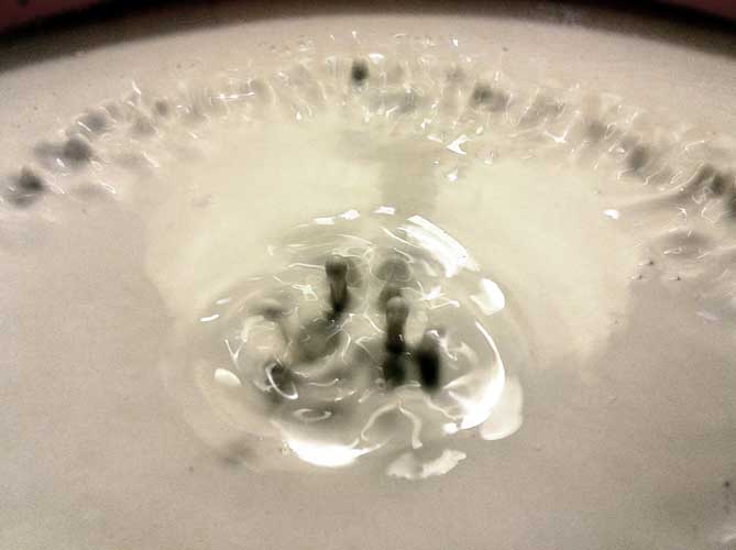 porcelain-cymatics-6.jpg