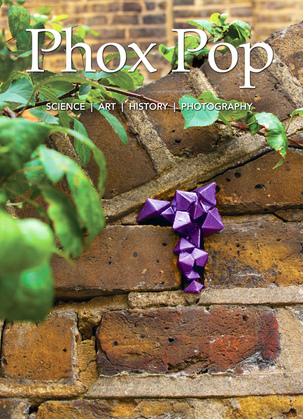 Phox-Pop-Issue-2-Cover_web.jpg