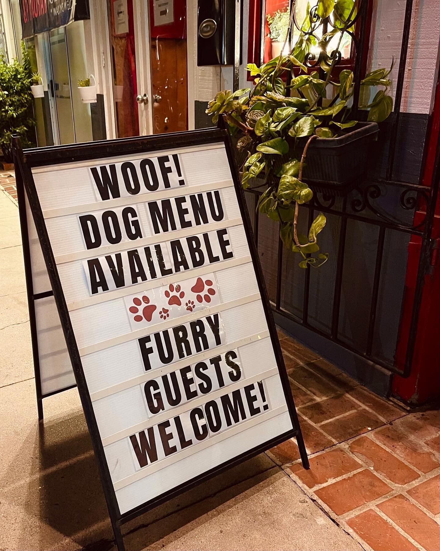 From now Solidarity has a special menu composed just for your dog!🐶