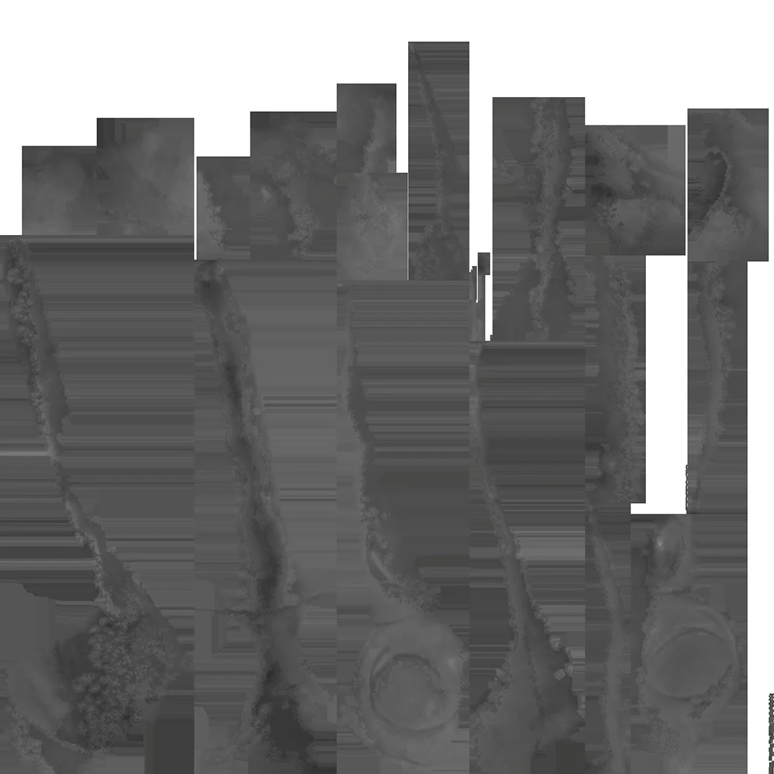 6119_finalImage1.jpg