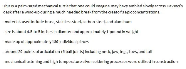 DaVincis Turtle Website Stats.JPG