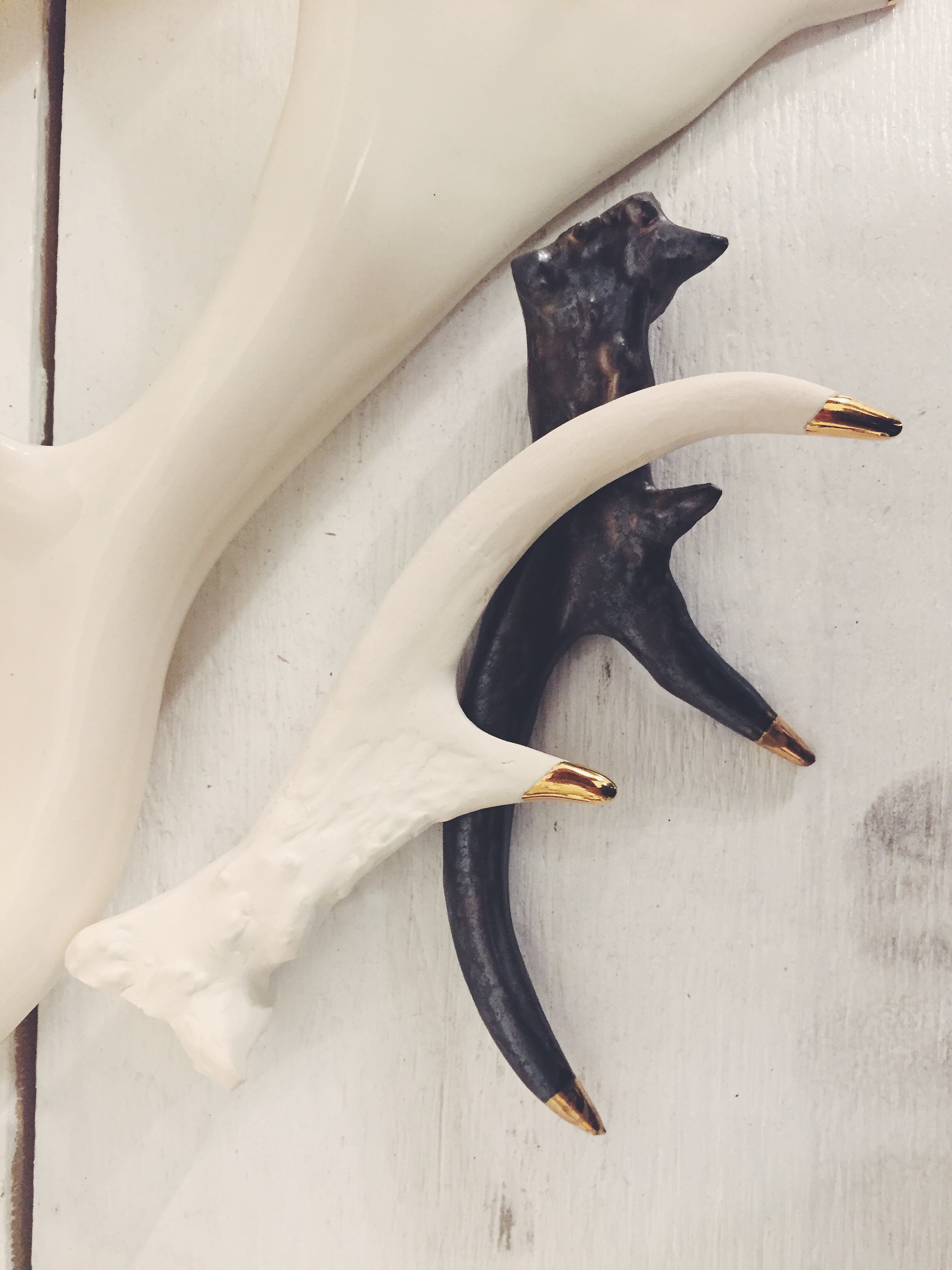 Honeycomb Studio White Tail Deer Antler 
