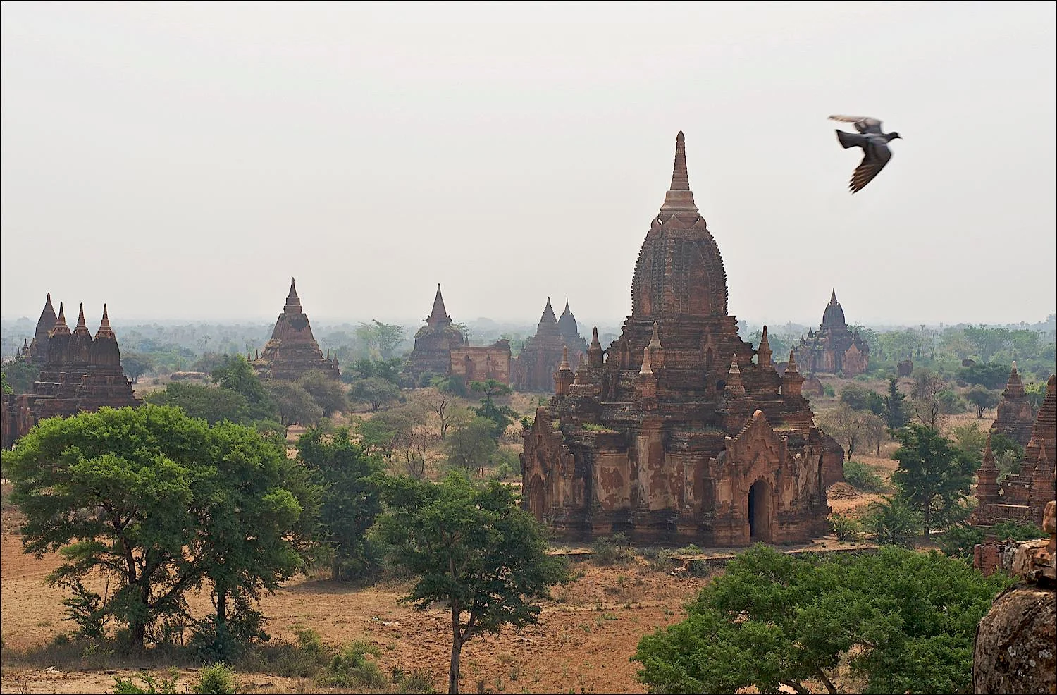 Buddhism Portfolio © Jamie Marshall