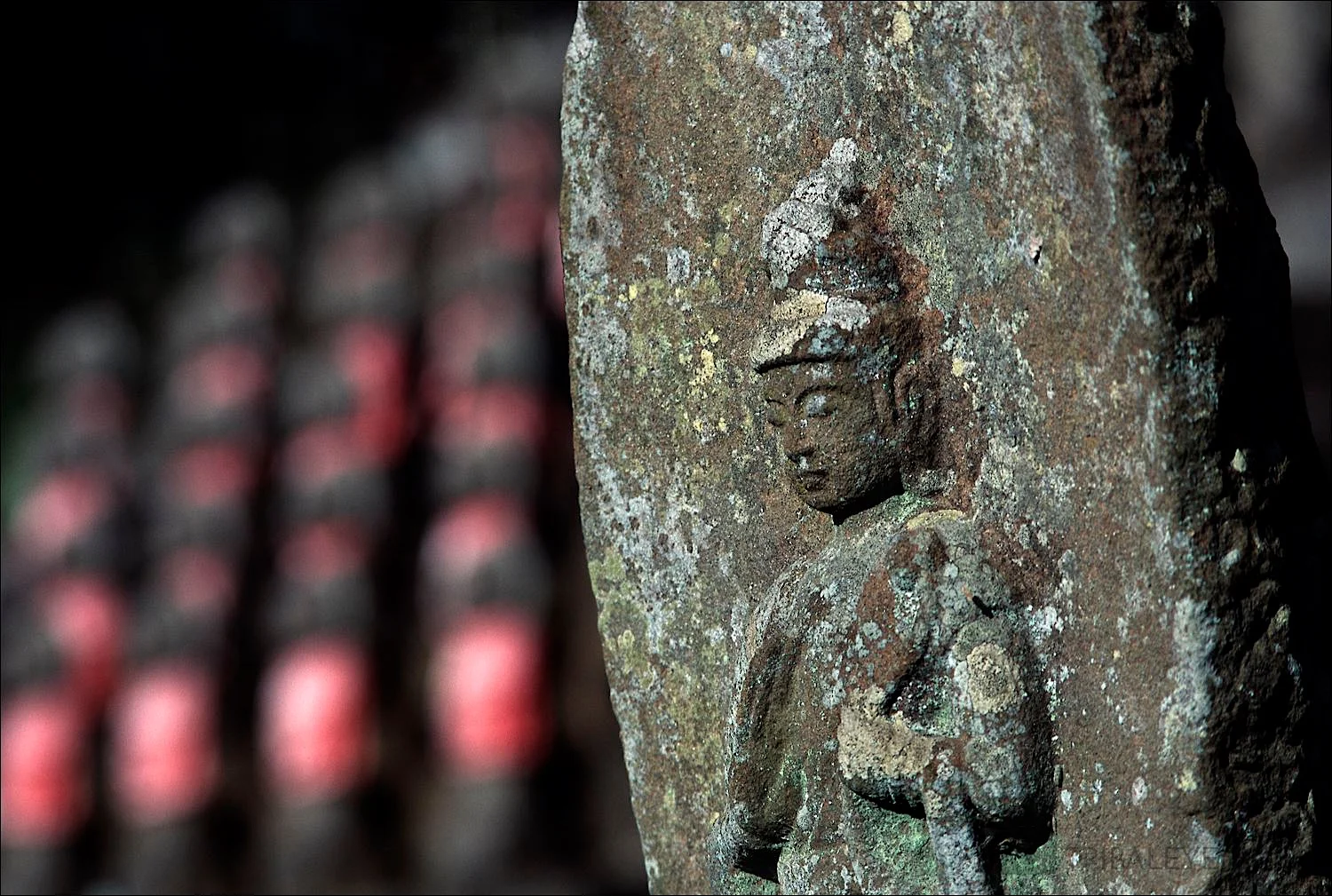 Buddhism Portfolio © Jamie Marshall