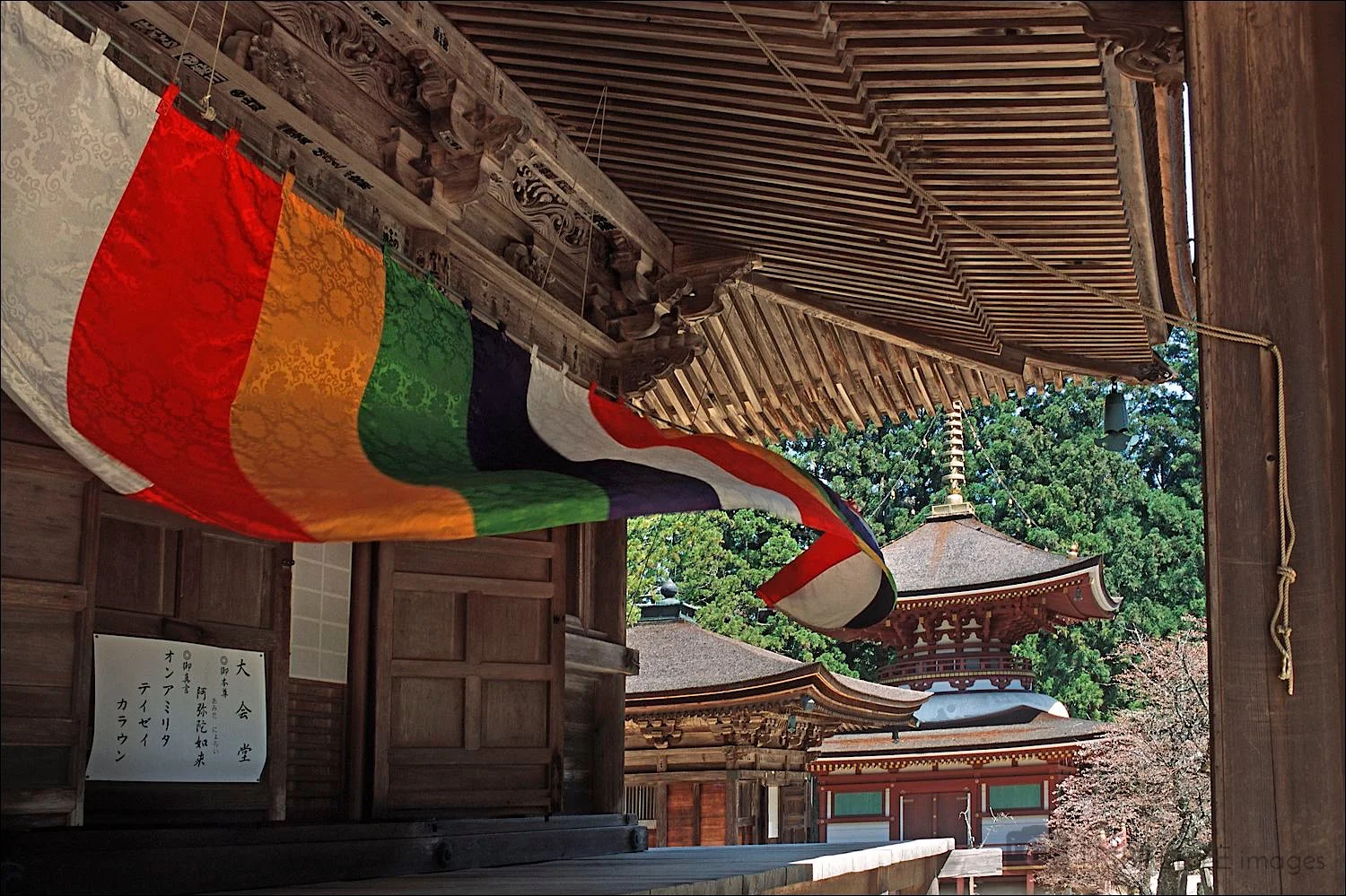 Buddhism Portfolio © Jamie Marshall