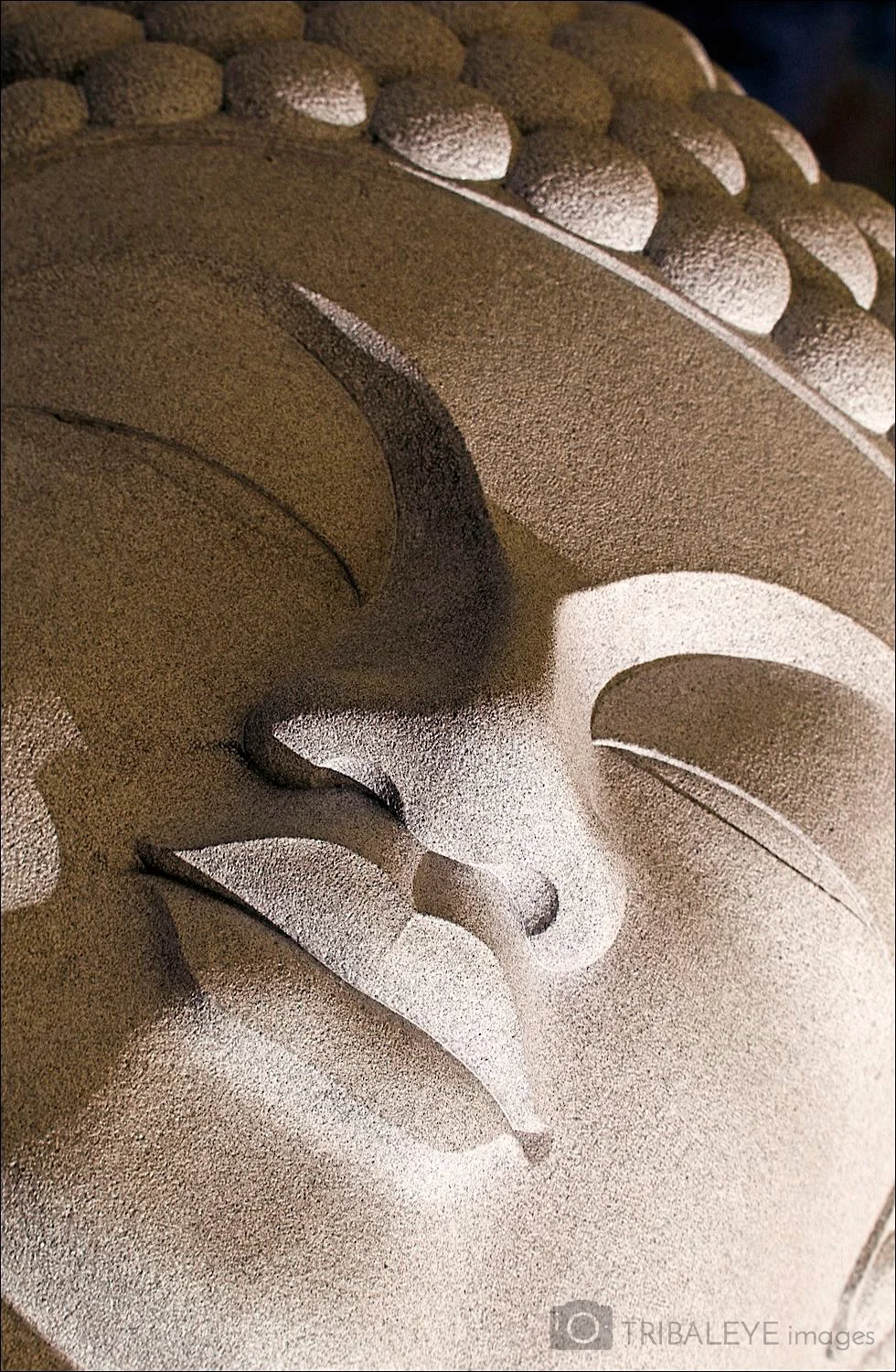 Buddhism Portfolio © Jamie Marshall