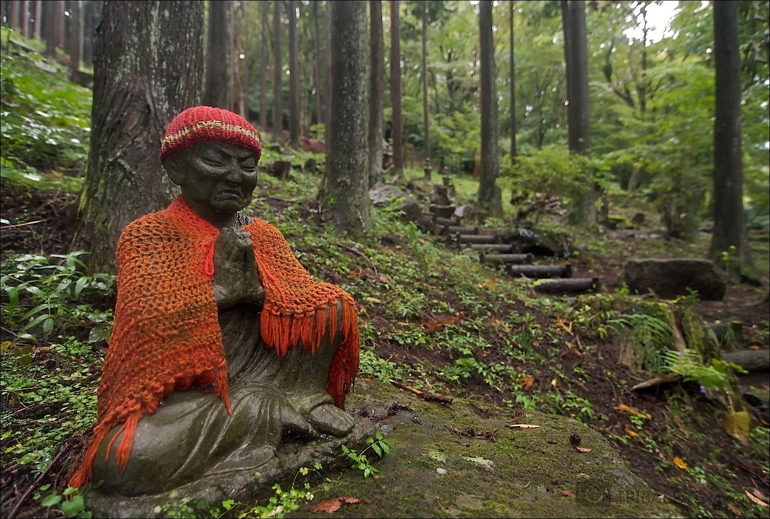Buddhism Portfolio © Jamie Marshall