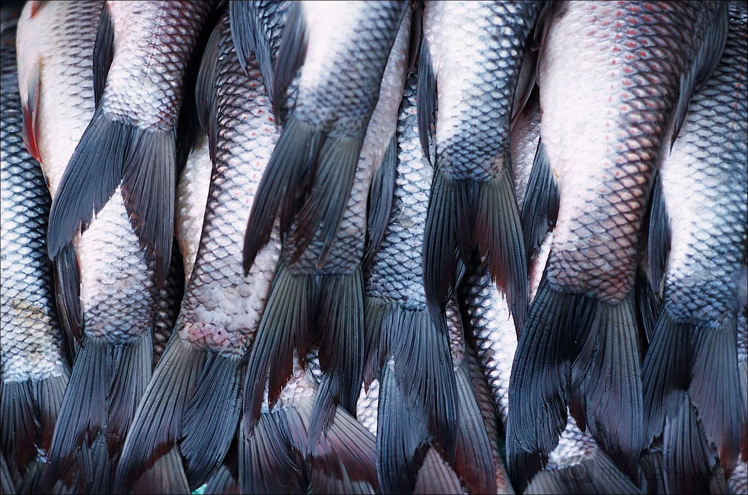 Textures Portfolio © Jamie Marshall