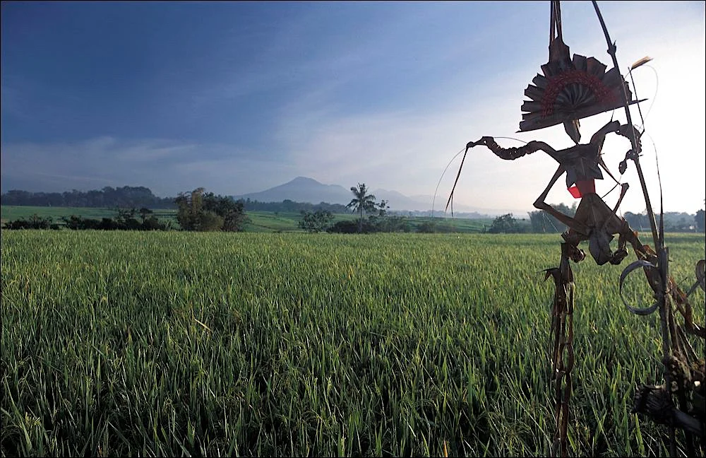 Visions of Travel Portfolio © Jamie Marshall
