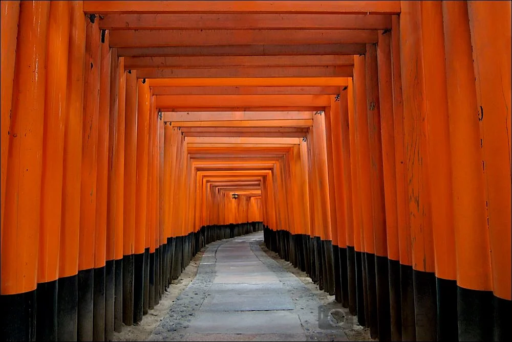Japan © Jamie Marshall