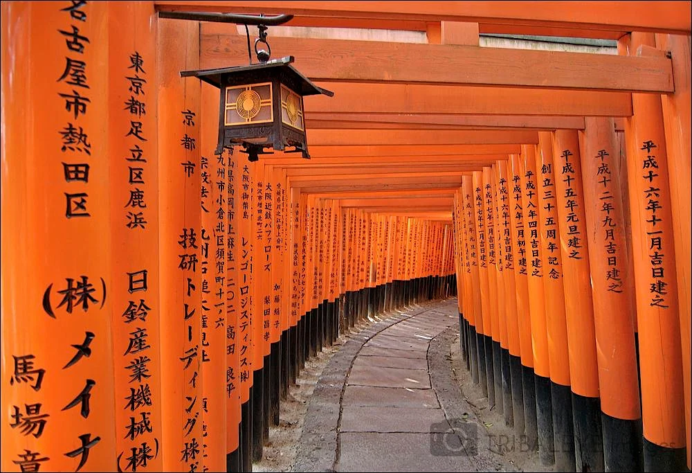 Japan © Jamie Marshall