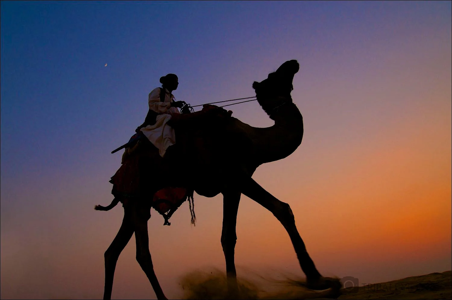 Rajasthan © Jamie Marshall