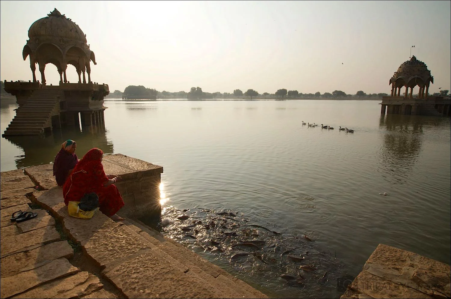 Rajasthan © Jamie Marshall