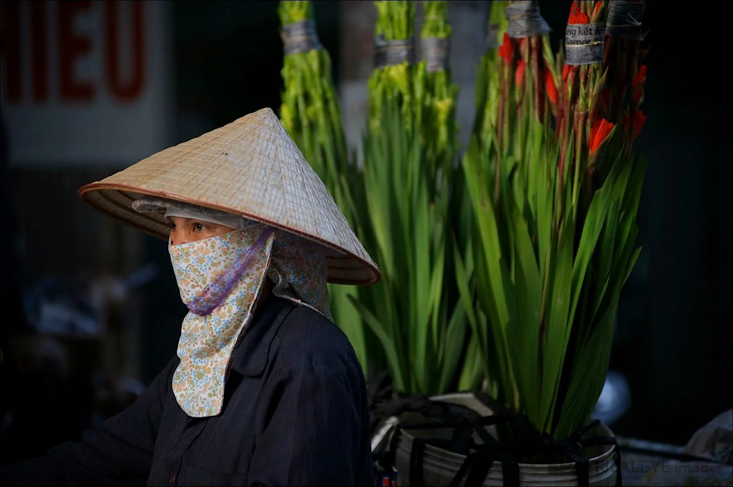 Vietnam © Jamie Marshall