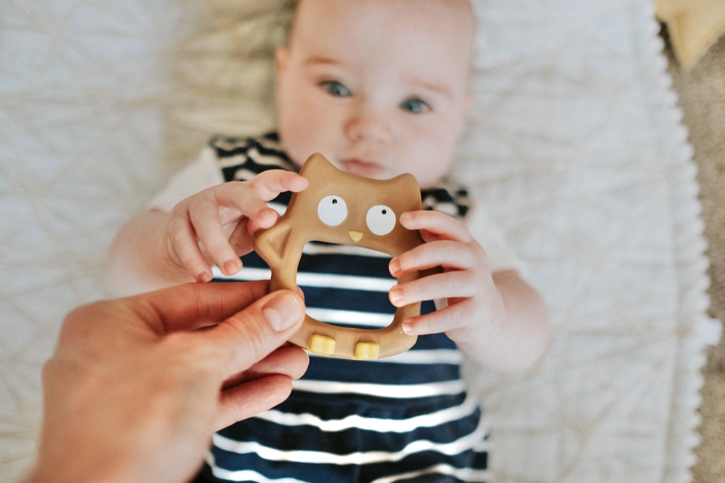 cloud and cuckoo teether
