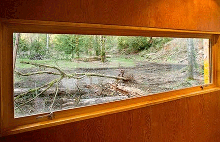 orange-container-interior3.gif
