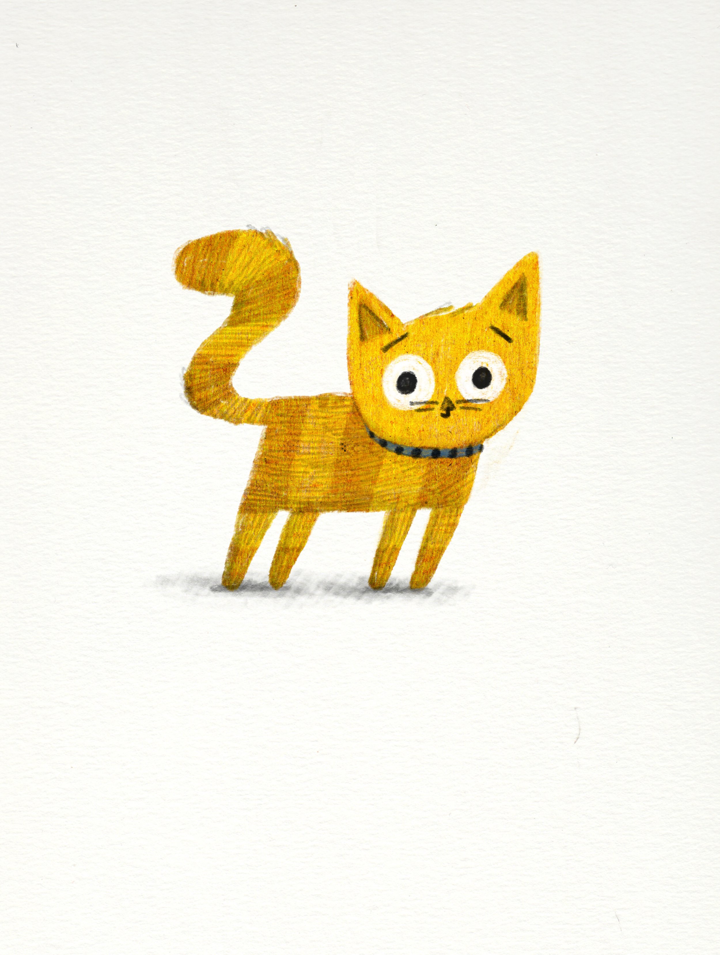 catnew.jpg