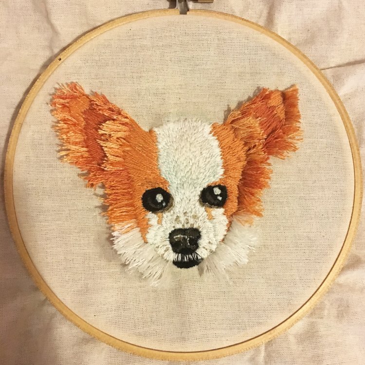 Orange Papillon