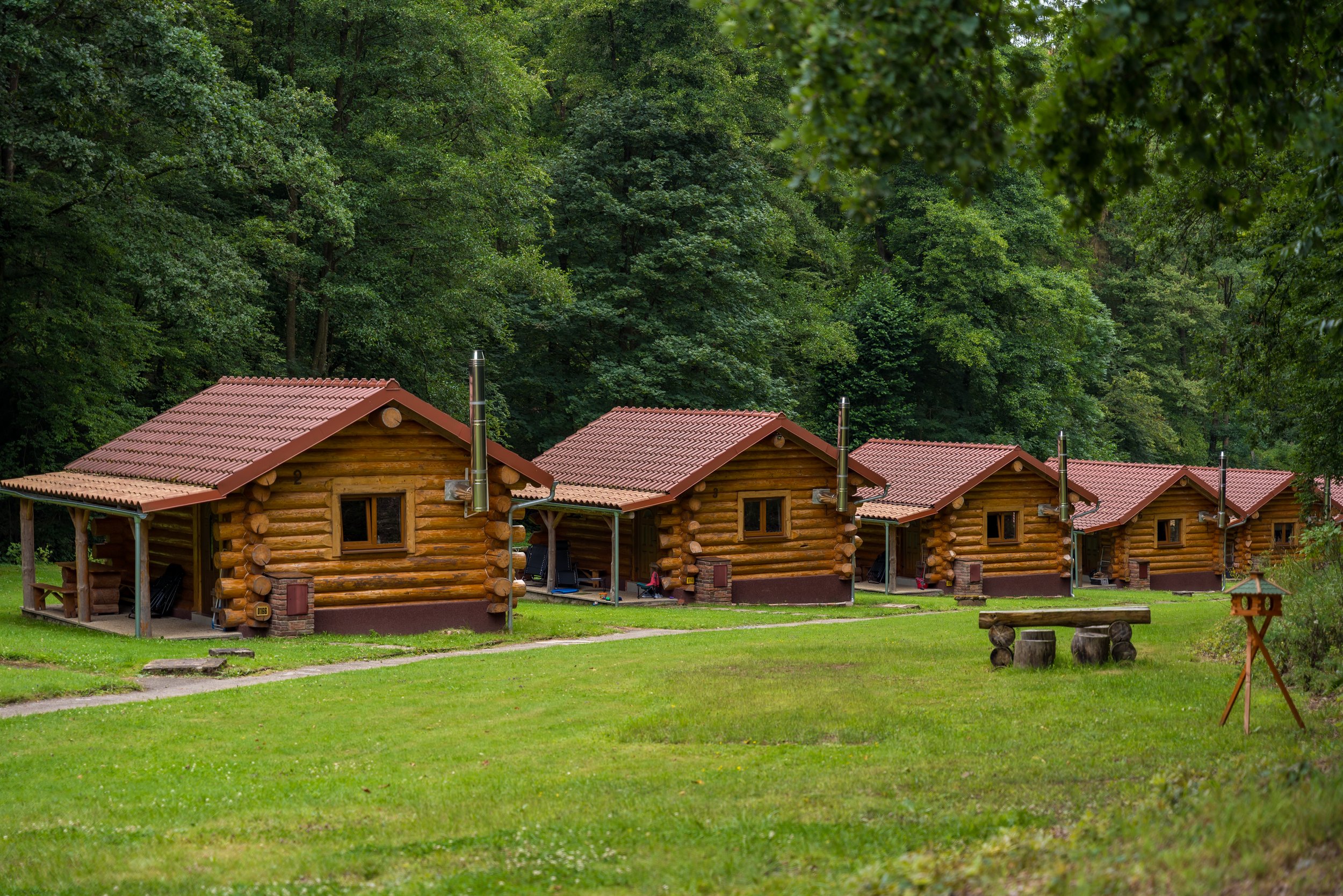 vecteezy_row-of-wooden-log-cabins-in-a-lush-green-forest-in-the-czech_57220023.jpg