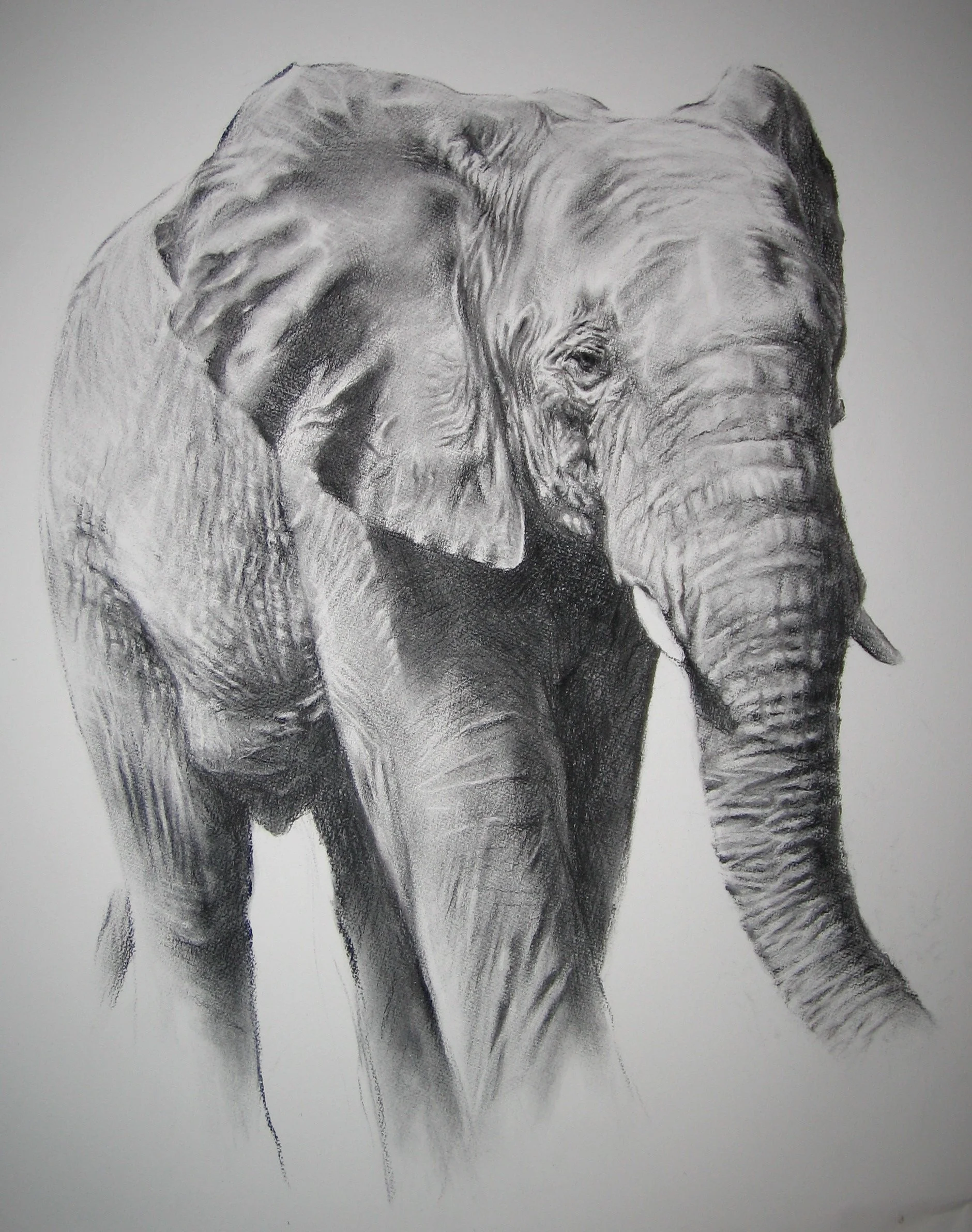 Big Elephant.jpg