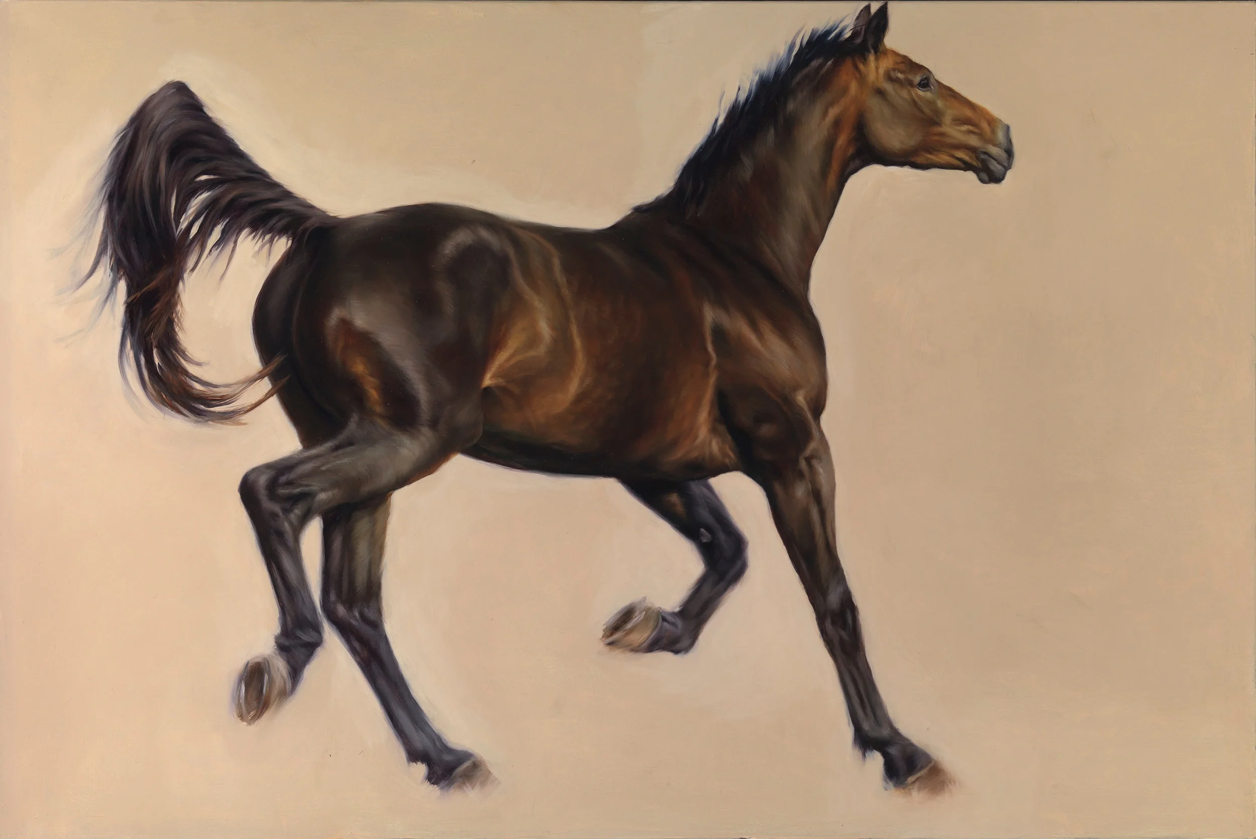 Horse_100x150_3908.jpg