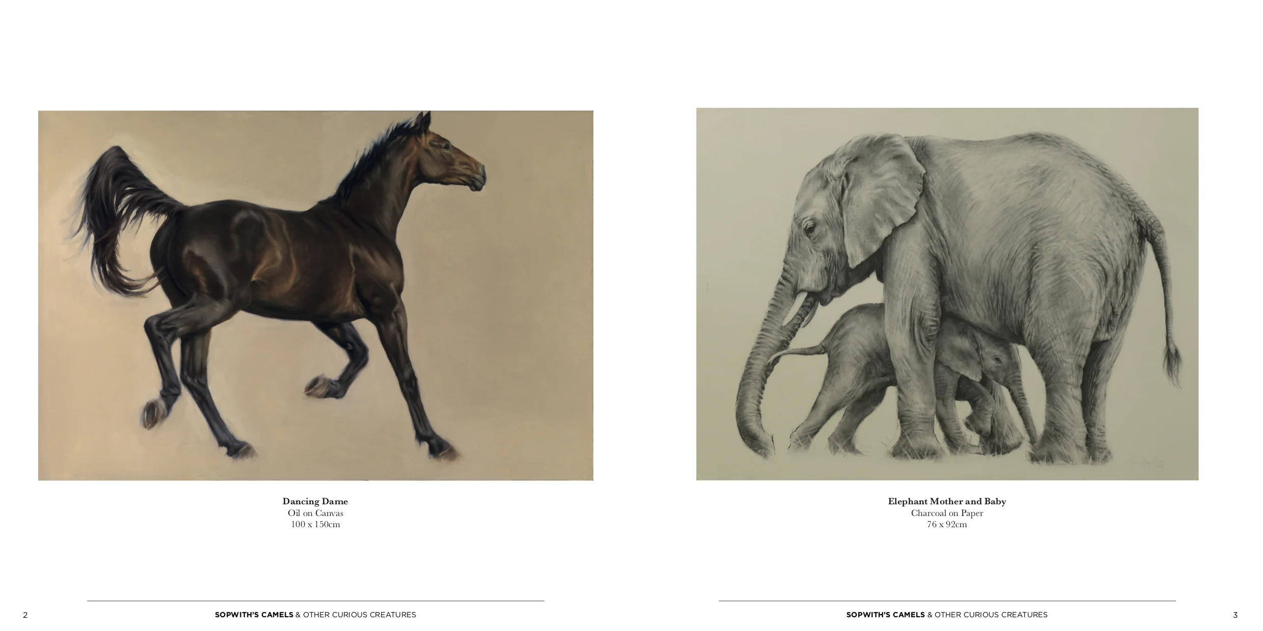 SS Sec1_Spreads2.jpg