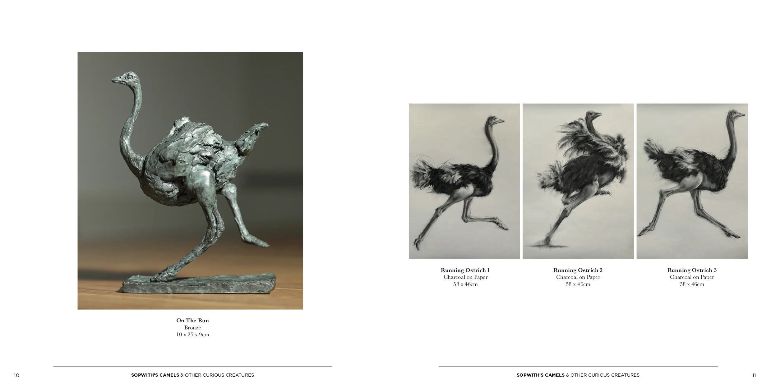 SS Sec1_Spreads6.jpg