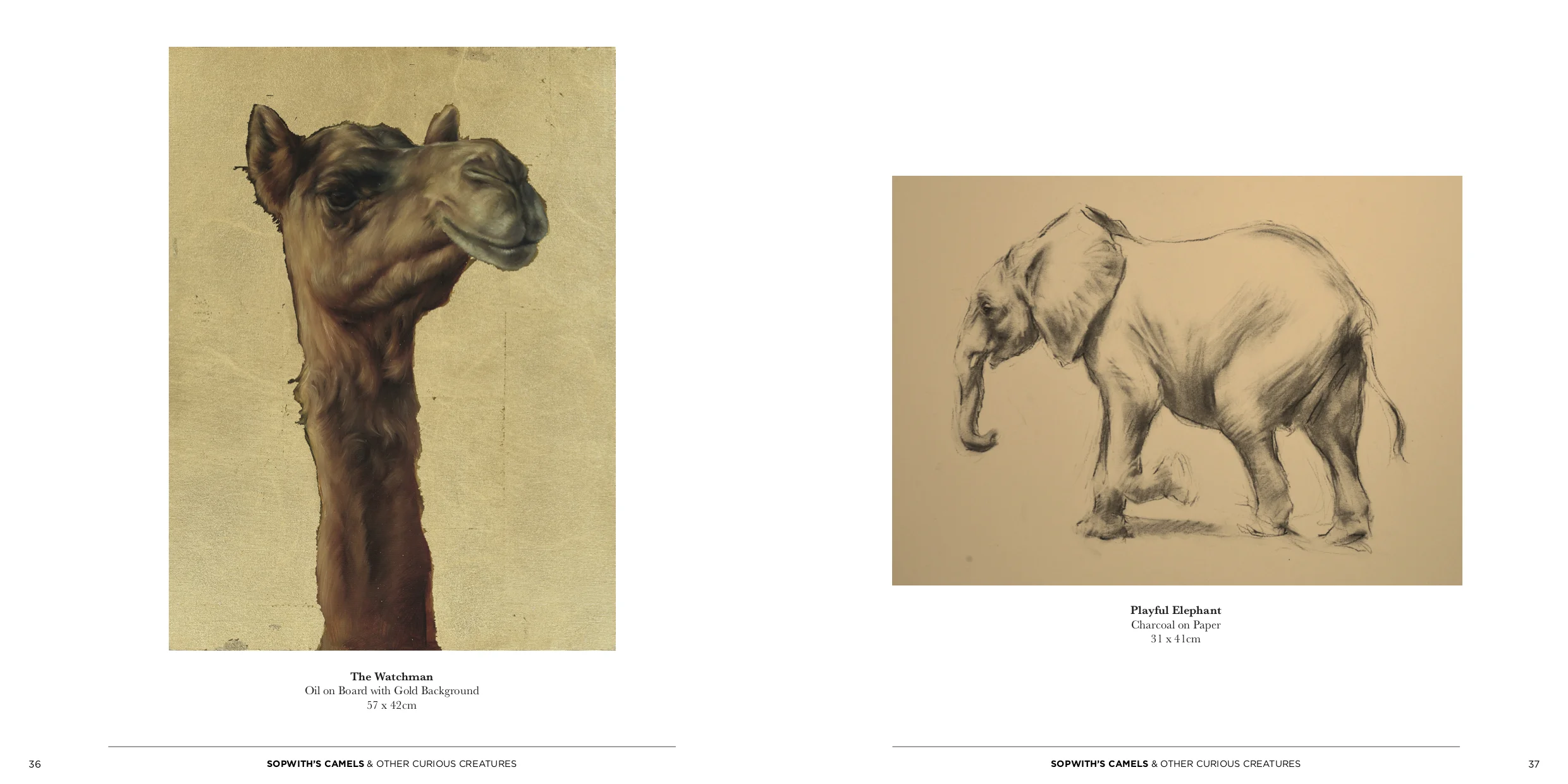 SS Sec1_Spreads19.jpg