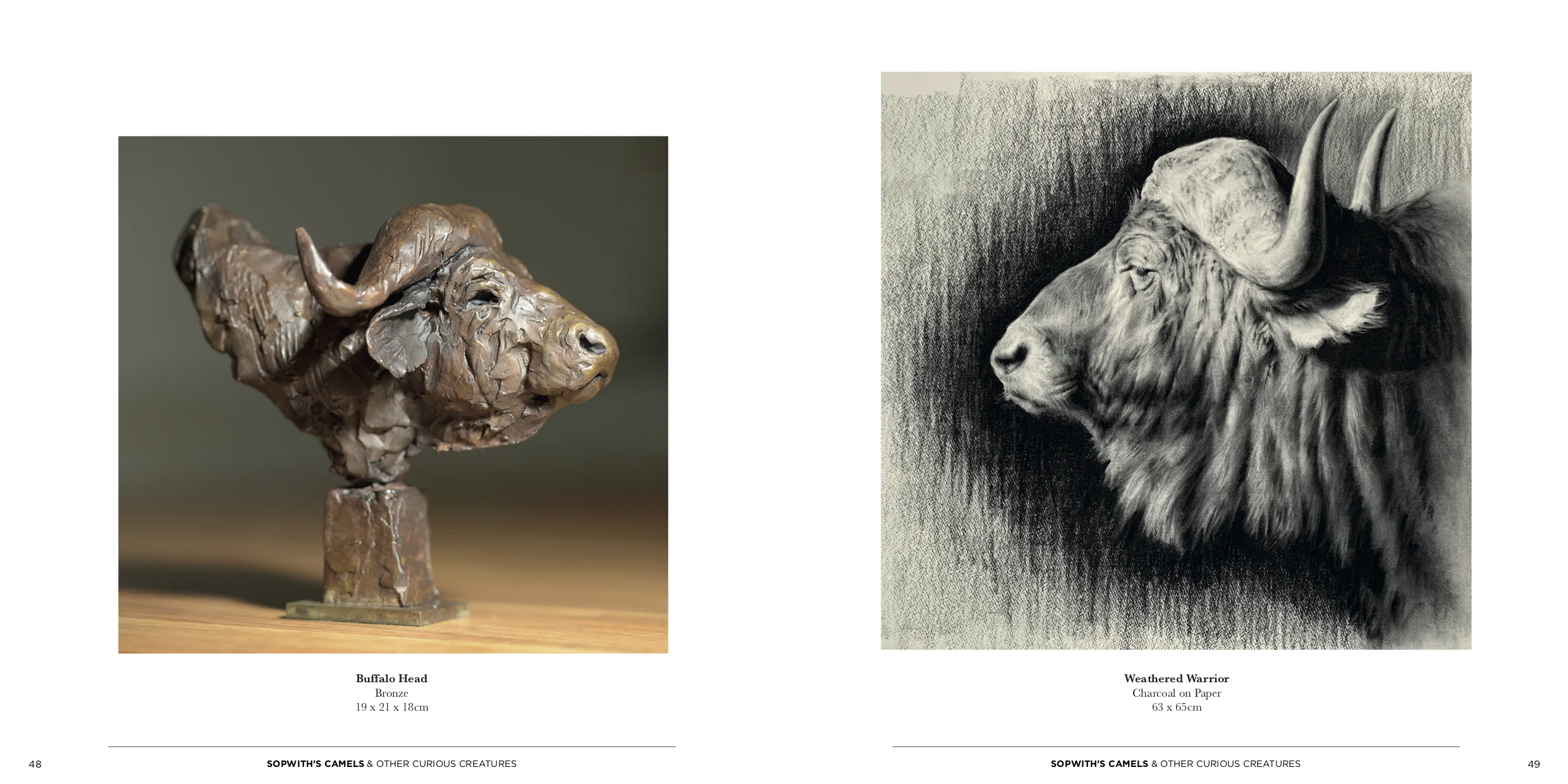 SS Sec1_Spreads25.jpg