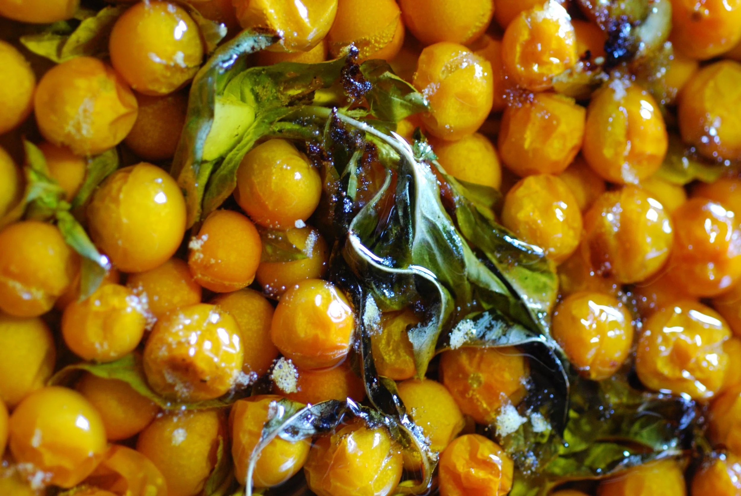 Copy of roasted sungolds