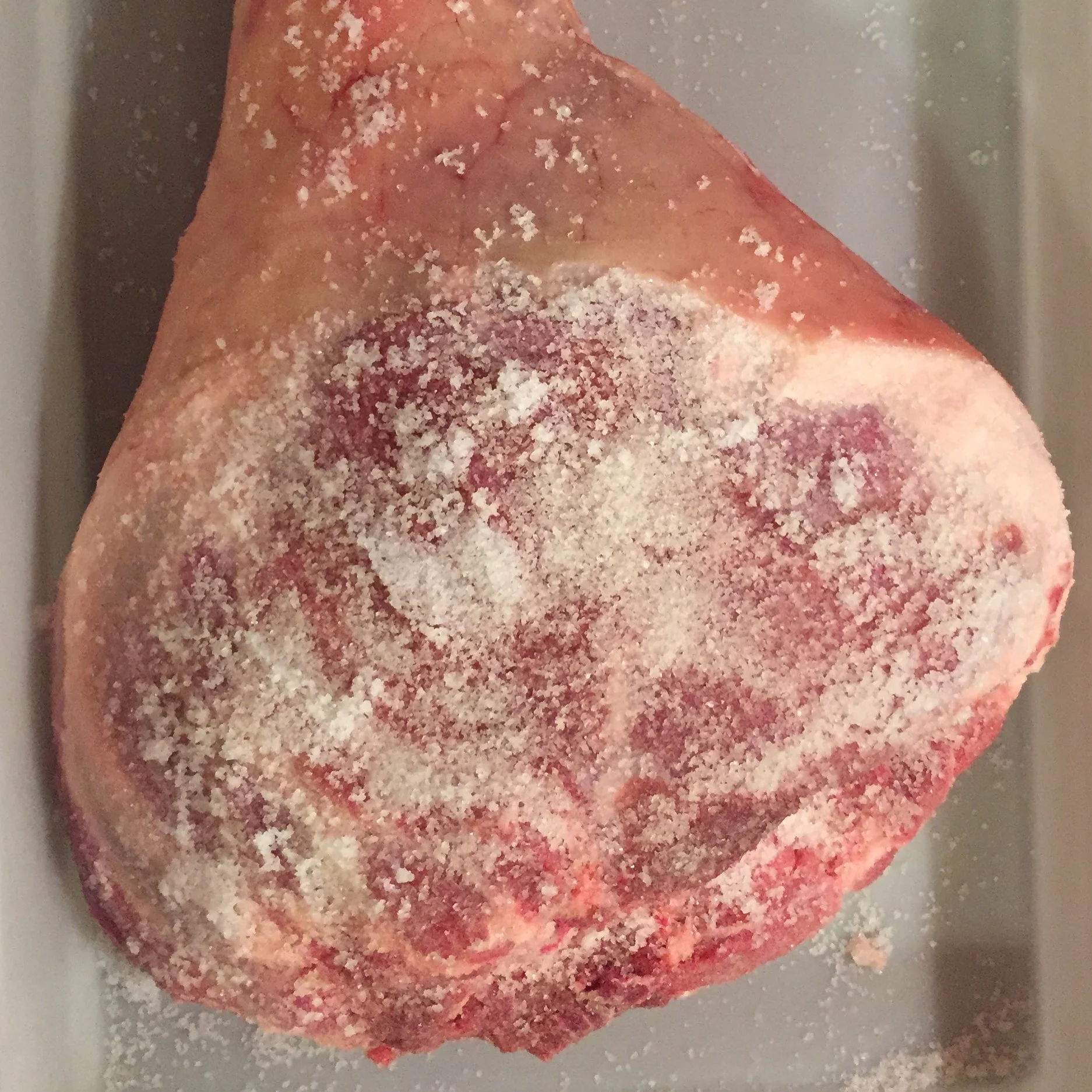 Copy of Newly salted pork leg for prosciutto