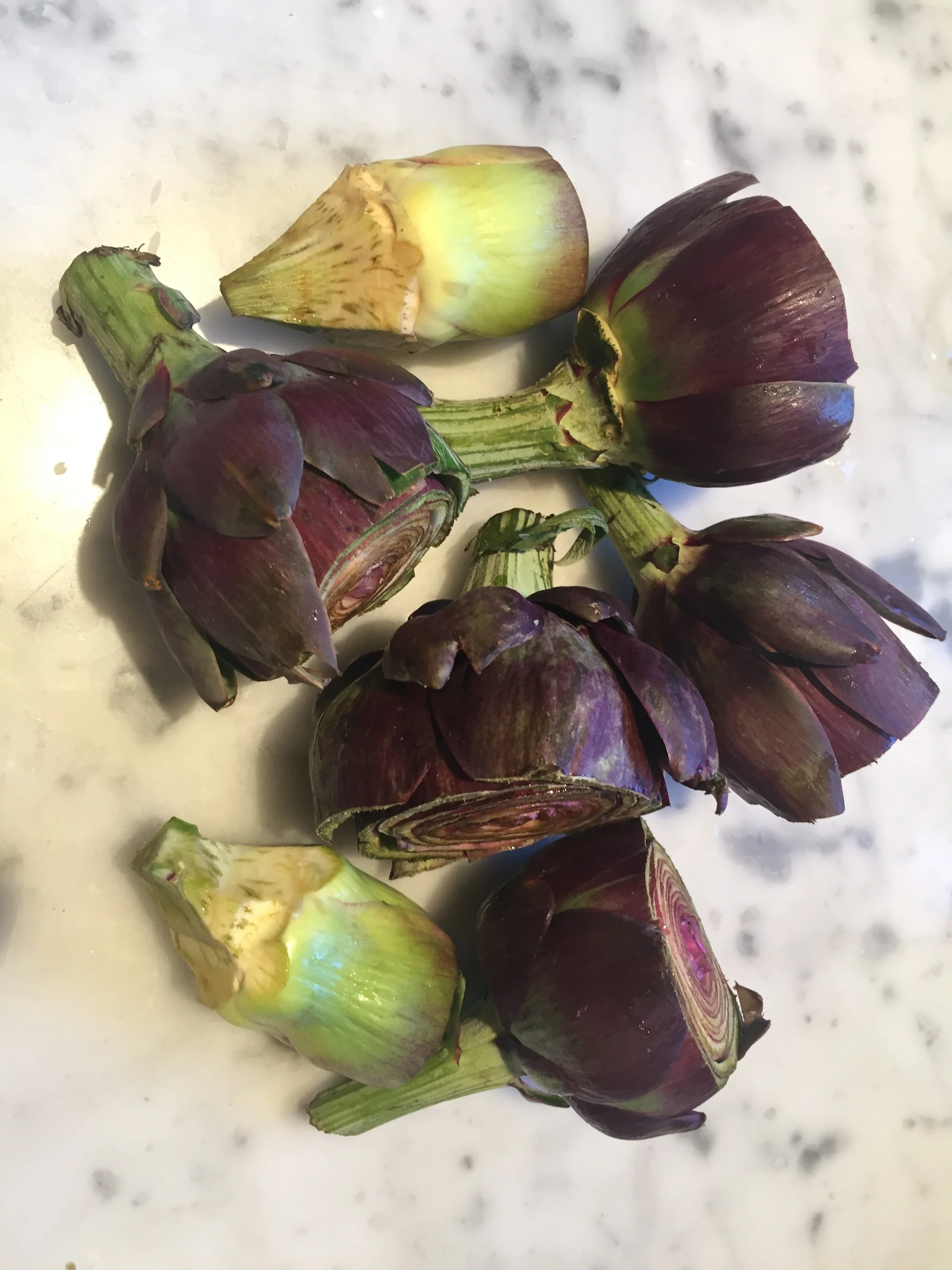 Tuscan purple artichokes