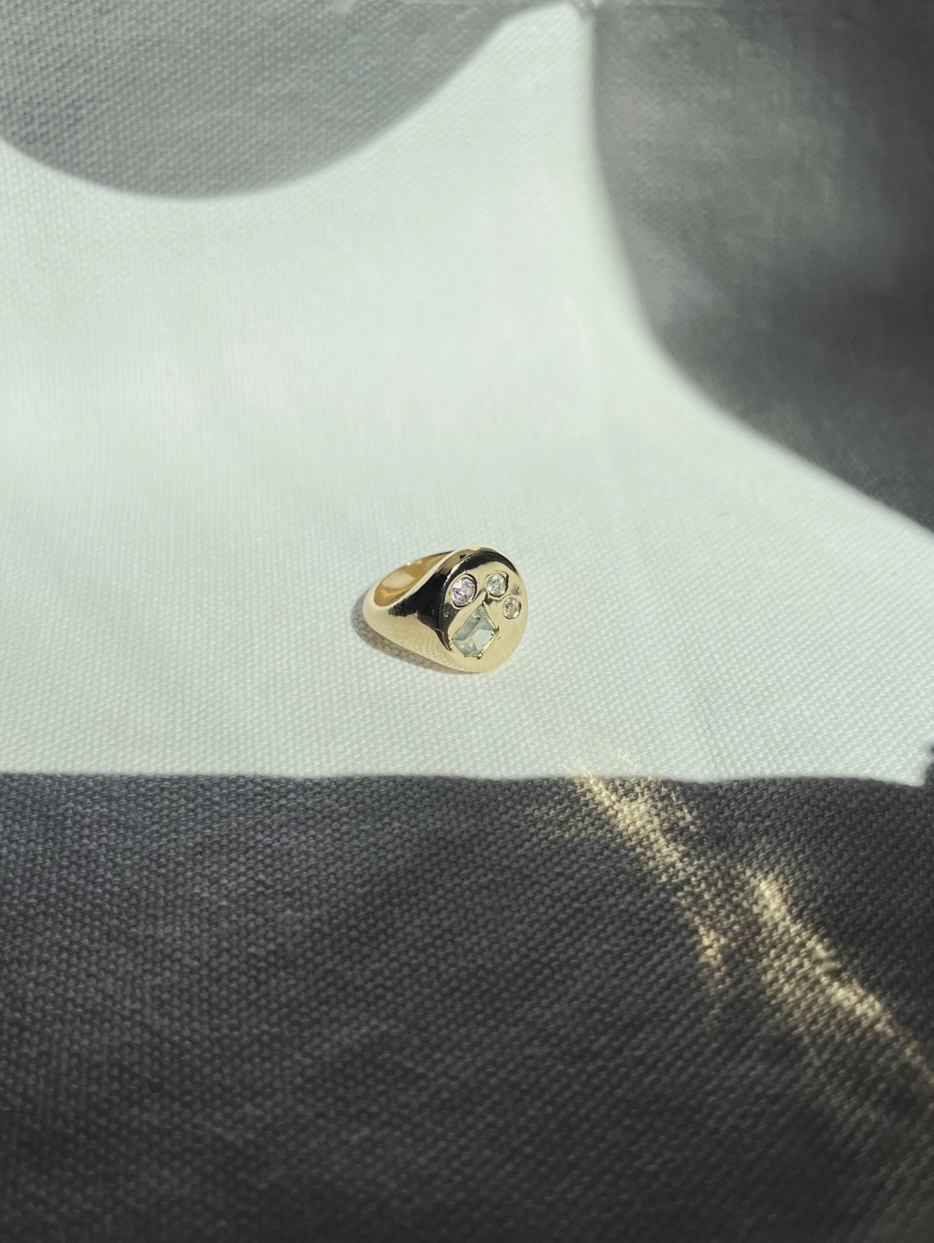 AA8CFAD8-79F4-4A0F-B2D3-373961E884D5