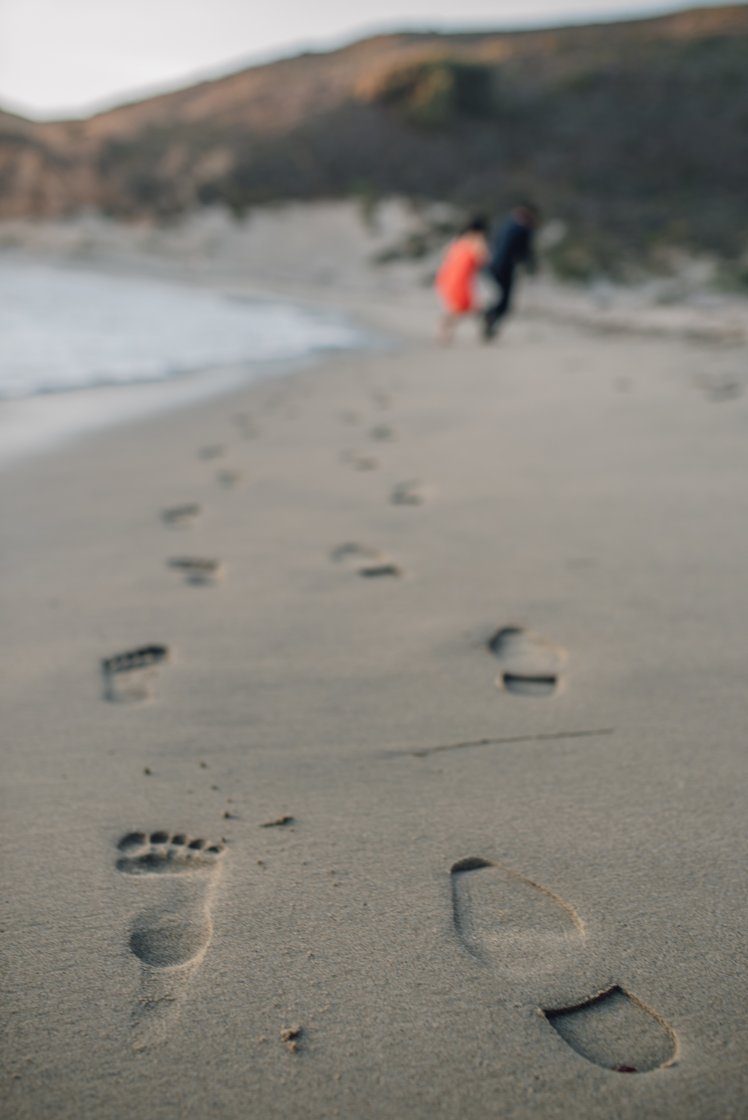 Main and Simple Photography_2015_M+B_bigsur-119.jpg