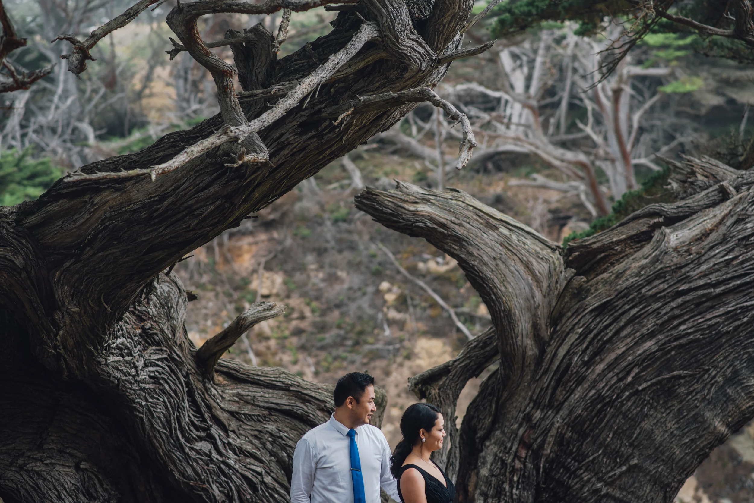 Mina + Bob (Big Sur + SF, CA)