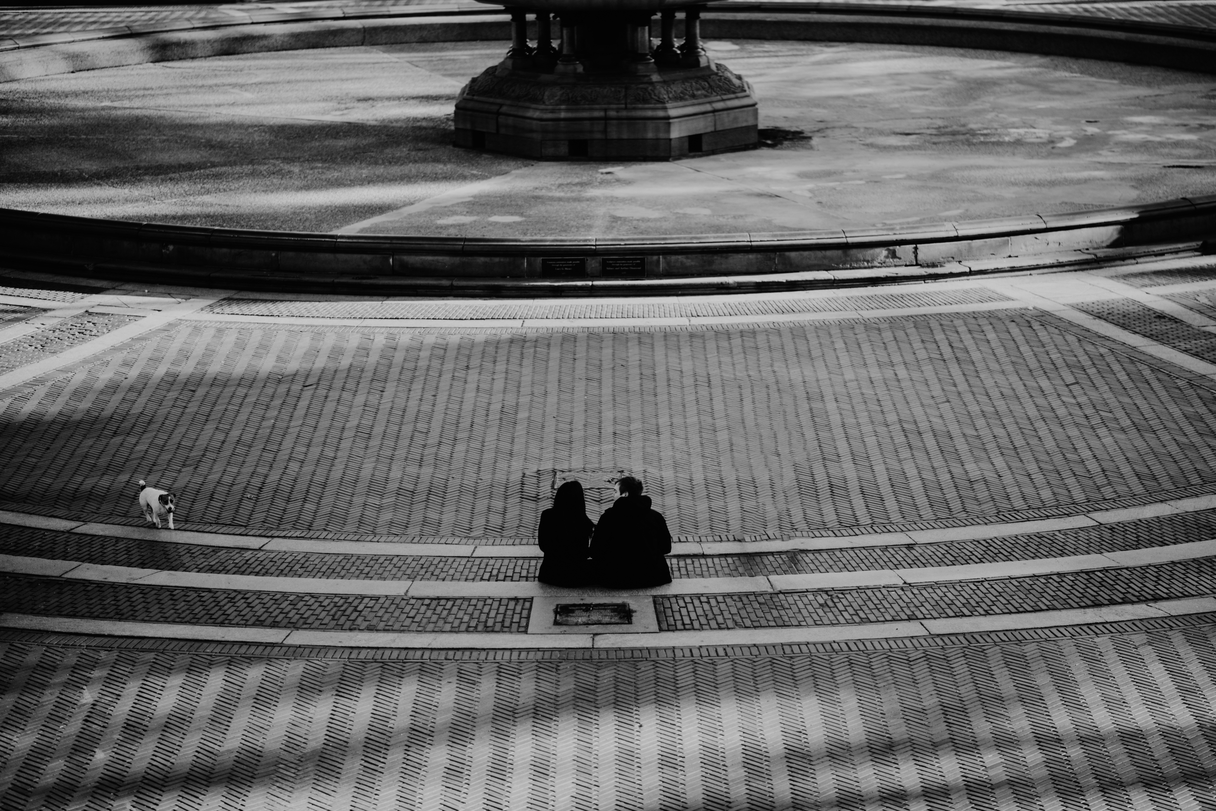 Main and Simple Photography_2016_Engagement_NY_T+S-64.jpg