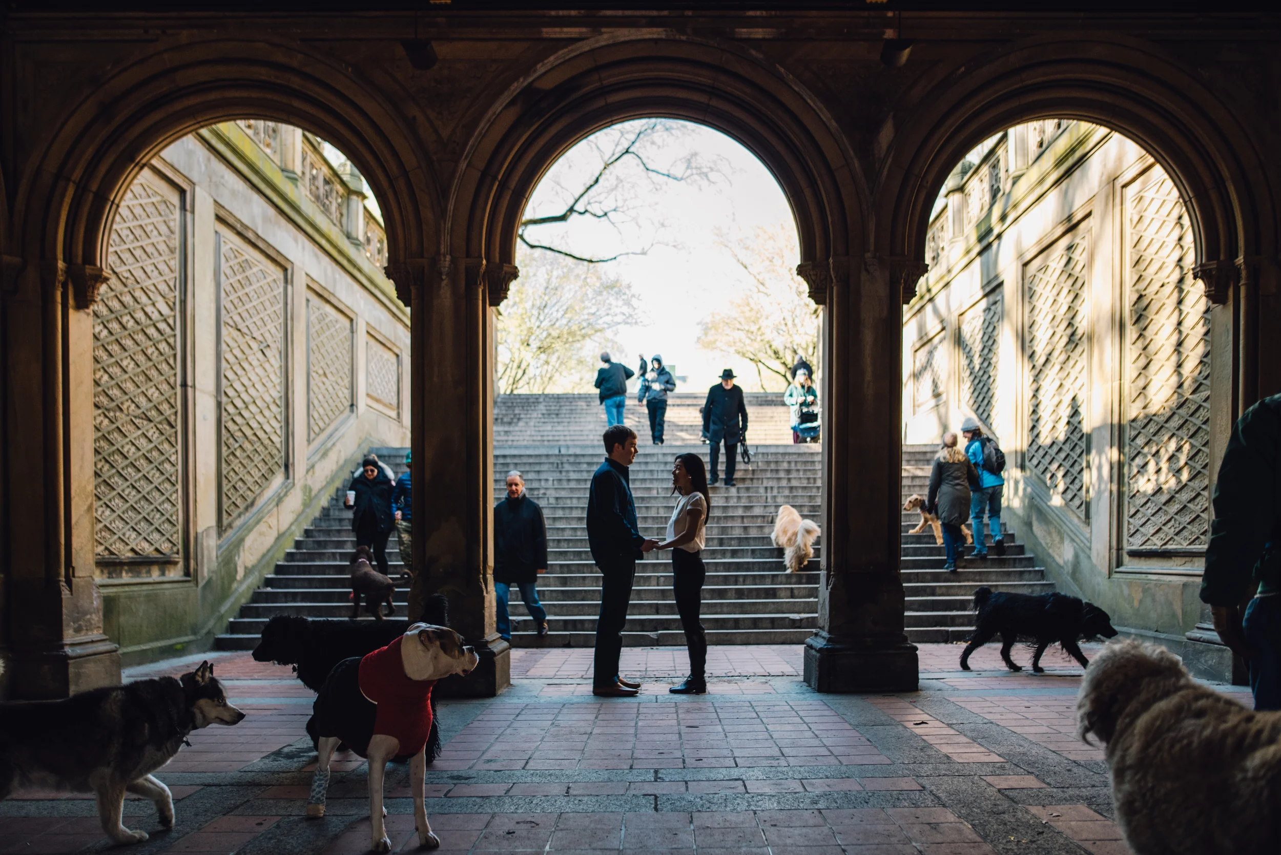 Main and Simple Photography_2016_Engagement_NY_T+S-239.jpg