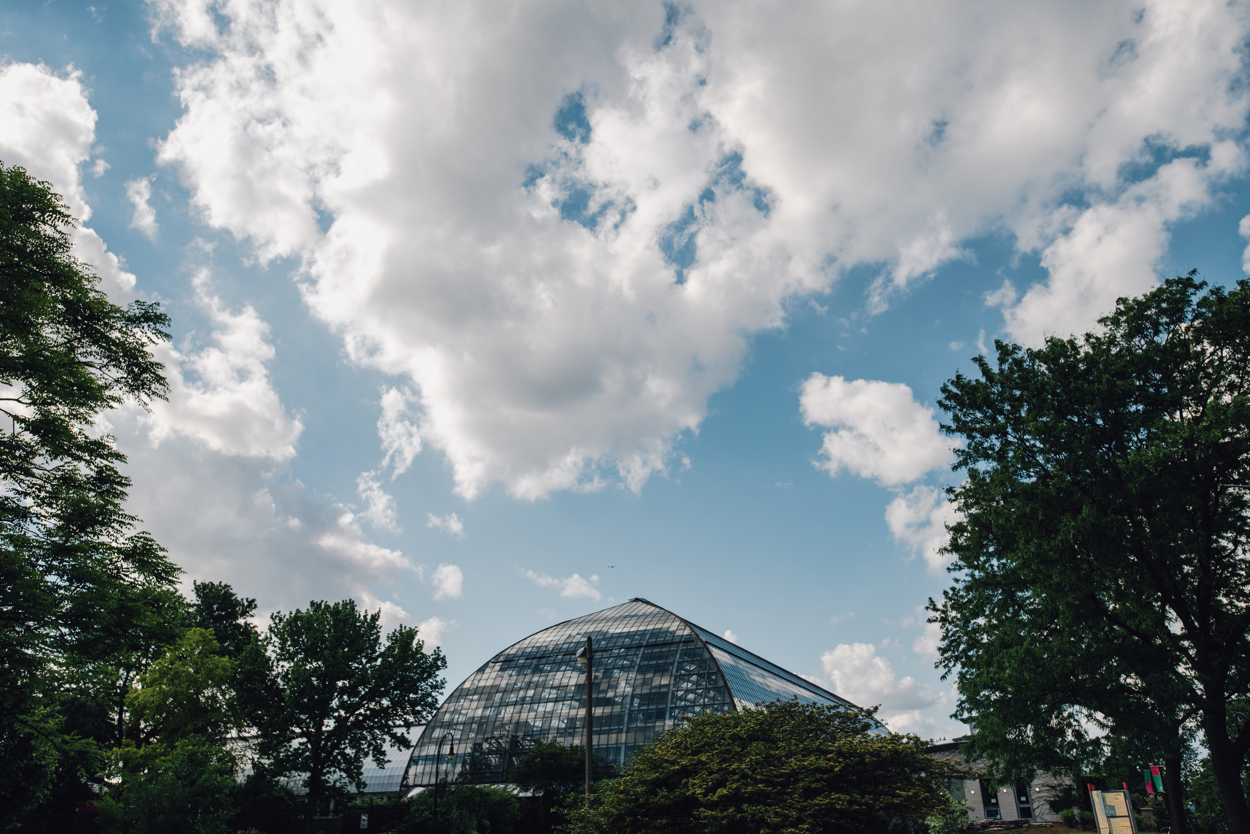 Main and Simple Photography_2016_Engagement_Chicago_J+S-233.jpg