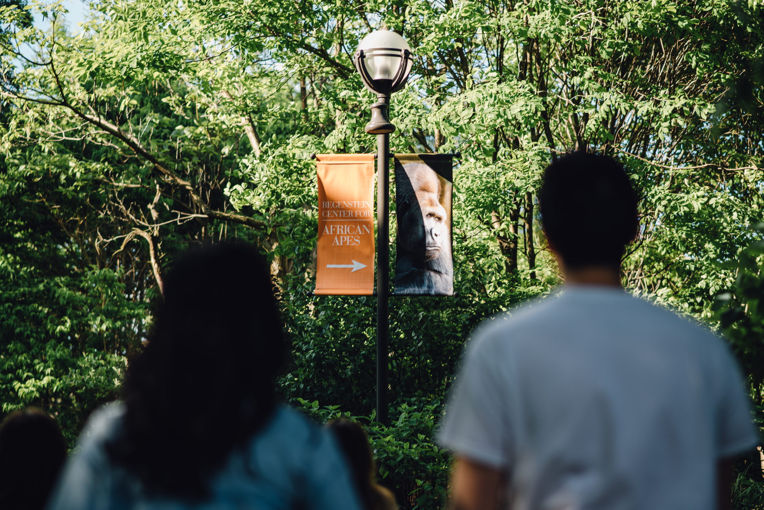 Main and Simple Photography_2016_Engagement_Chicago_J+S-256.jpg