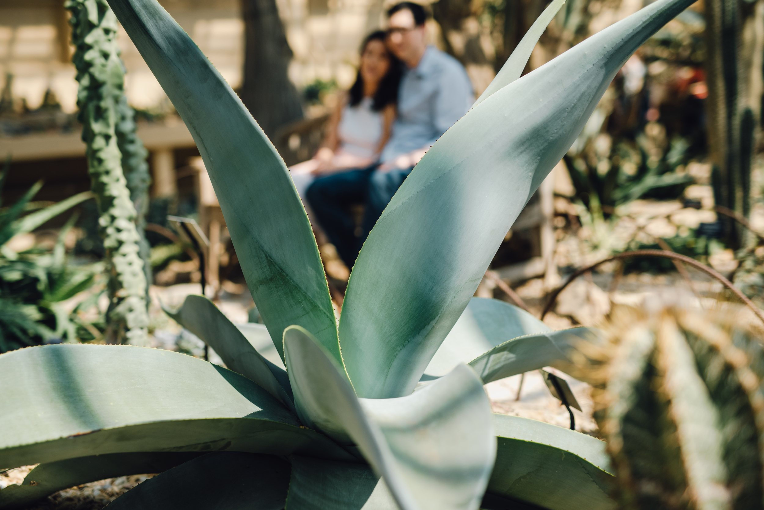 Main and Simple Photography_2016_Engagement_Chicago_J+S-35.jpg