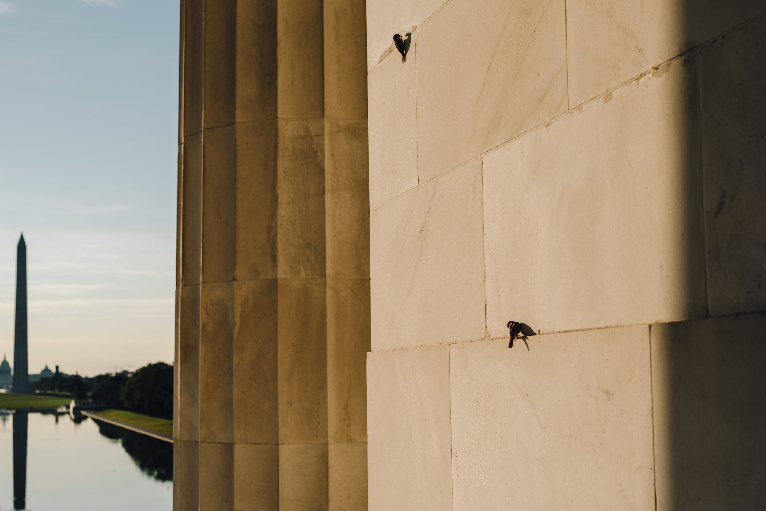 Main and Simple Photography_2016_Engagement_DC_T+E-402.jpg